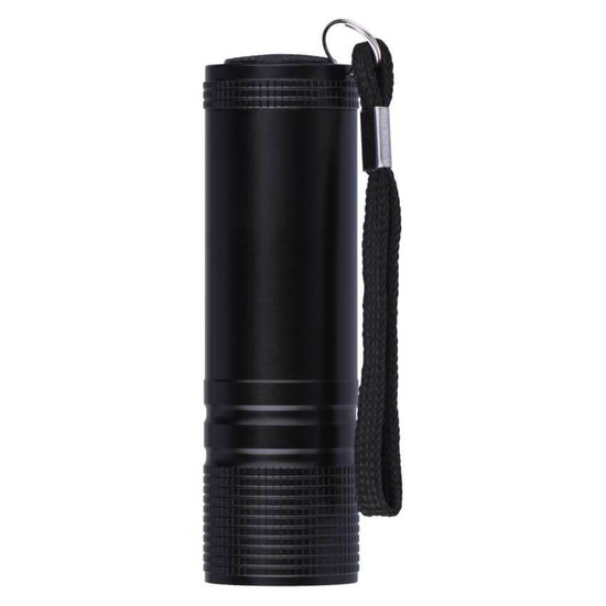 Emos LED Taschenlampe 100lm Schwarz Aluminium P3894