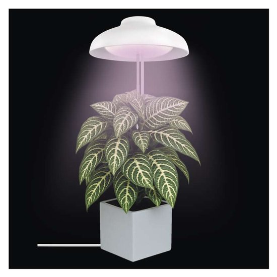 Emos LED Pflanzenleuchte 5W neutralweiss 3500K Weiß 11x11cm Z7901