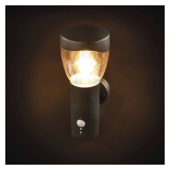 Emos LED Gartenstrahler Arteo Bewegungsmelder IP44 Anthrazit Edelstahl 16x12cm ZGA040P