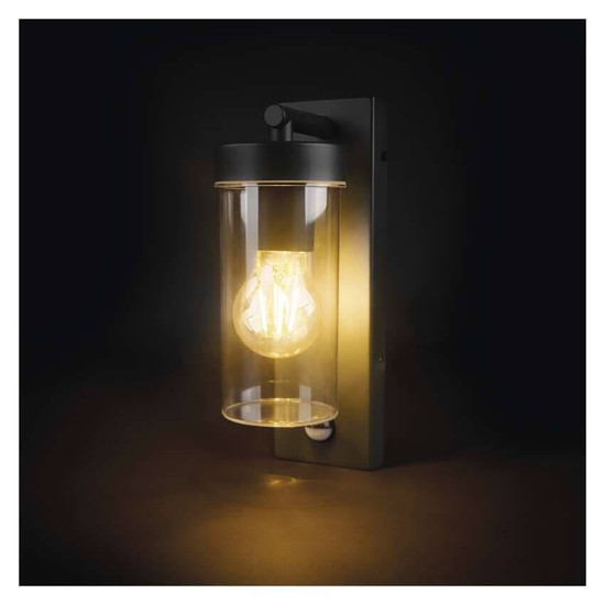 Emos LED Gartenstrahler Zala Bewegungsmelder IP44 Anthrazit Edelstahl ZGC040P
