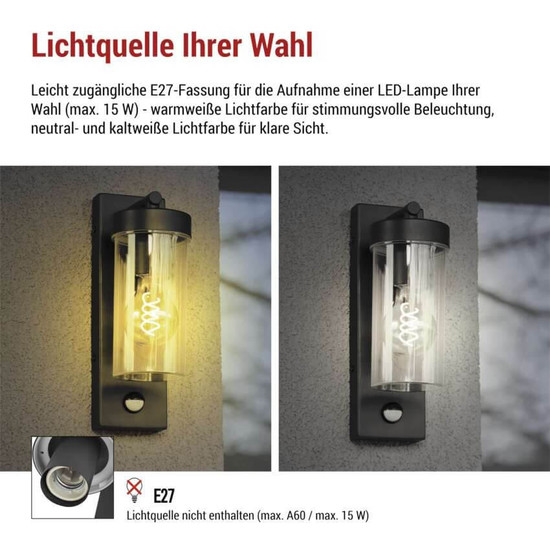Emos LED Gartenstrahler Zala Bewegungsmelder IP44 Anthrazit Edelstahl ZGC040P