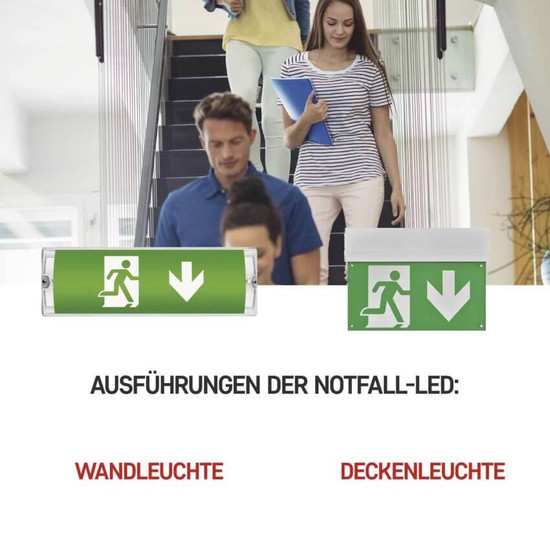 Emos LED Notleuchte Nessi 3W tageslichtweiss 6500K Akku IP65 Weiß 35x11cm ZN1110