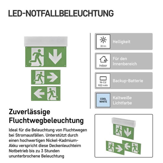 Emos LED Notleuchte Cessi 3W neutralweiss 5000K Akku Weiß 31,5x22cm ZN1210