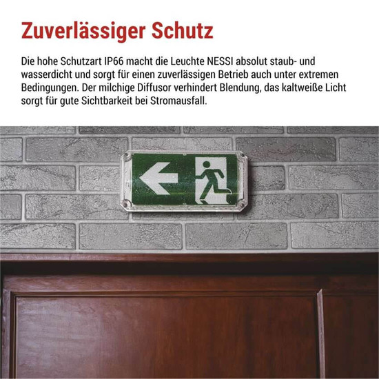 Emos LED Notleuchte Nessi 4W tageslichtweiss 6500K Akku IP66 Weiß 25x12cm ZN2130