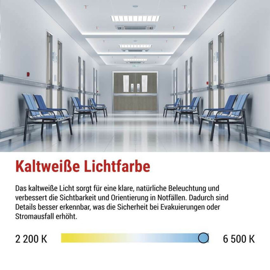 Emos LED Notleuchte Nessi 4W tageslichtweiss 6500K Akku IP66 Weiß 25x12cm ZN2130