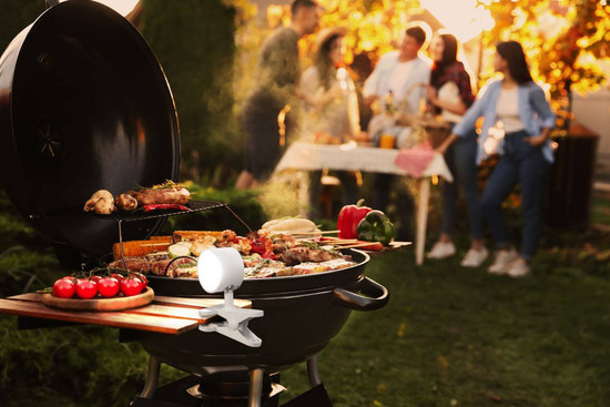 FHL Magnetic LED Klemmleuchte 1,5W dimmbar Akku CCT einstellbare Lichtfarbe sandweiß 830064