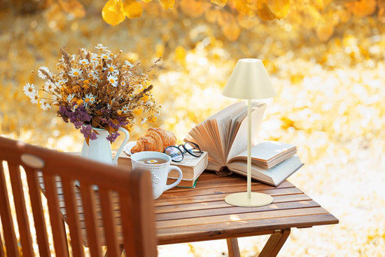 FHL Kano LED Tischleuchte 2W dimmbar Akku warmweiss sandbeige 850412