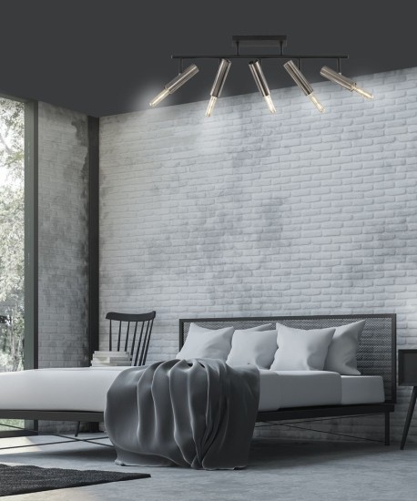 Fischer & Honsel Dean Deckenleuchte 5-fach E27 schwarz 20495