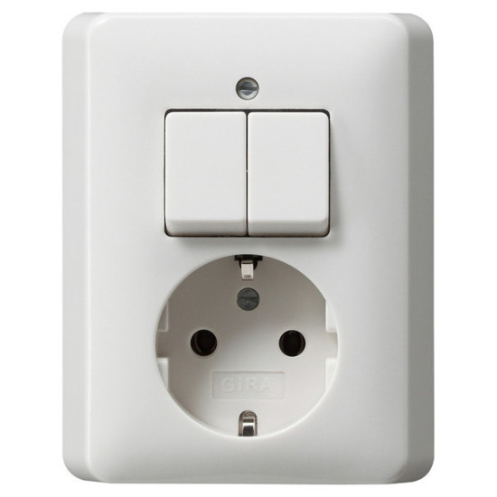 Gira 017503 Kombi Serien/SCHUKO Vollplatte Standard 55 Reinweiß