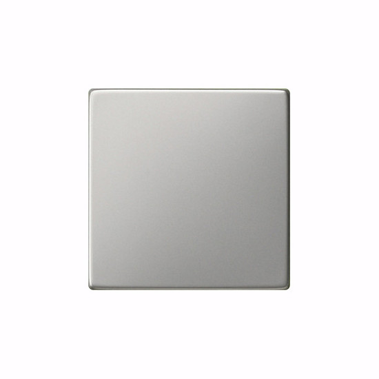 Gira 0916600 Wippe Tastschalter System 55 Edelstahl