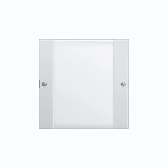 Gira 213103 Wippenset 1-fach Beschriftungsfeld System 55 Klar/Reinweiß