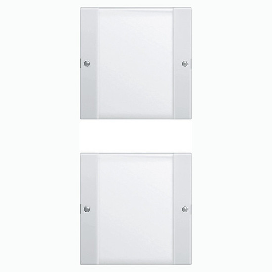 Gira 213203 Wippenset 2-fach (1+1) Beschriftungsfeld System 55 Klar/Reinweiß