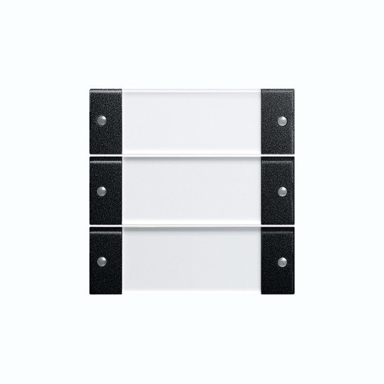 Gira 2133005 Wippenset 3-fach Beschriftungsfeld System 55 Klar/Schwarz m