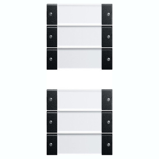 Gira 2136005 Wippenset 6-fach (3+3) Beschriftungsfeld System 55 Klar/Schwarz m