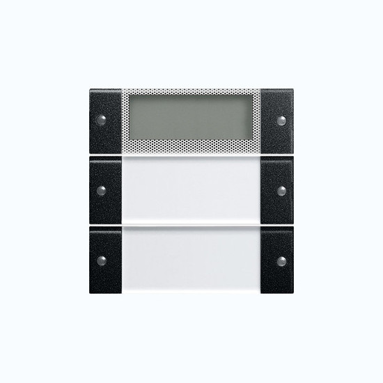 Gira 2142005 Wippenset 2-fach Plus Beschriftungsfeld System 55 Klar/Schwarz m