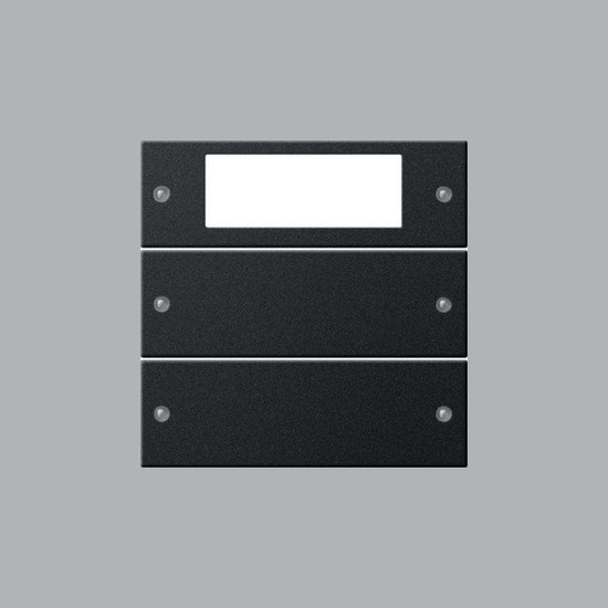 Gira 2192005 Wippenset 2-fach Plus System 55 Schwarz m(lack.)