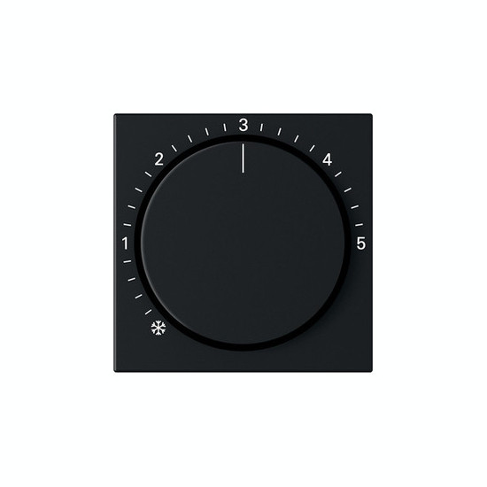 Gira 2706005 Abdeckung RTR System 55 Schwarz m