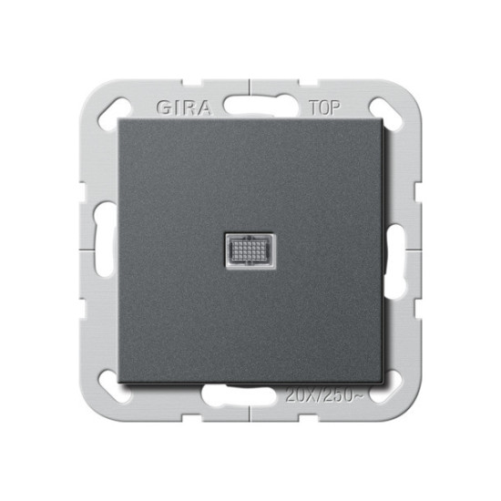 Gira 283428 Wipp-Kontroll BS 20 AX Aus 2-polig System 55 Anthrazit