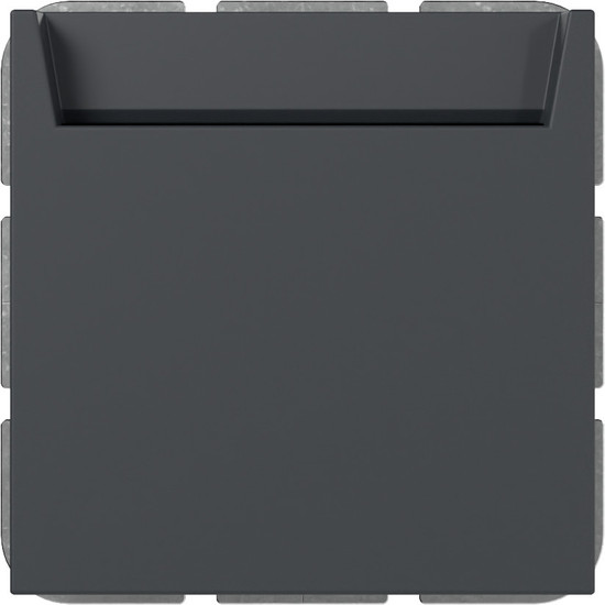 Gira 314028 Hotel-Card Schließer + N-Kl. System 55 Anthrazit