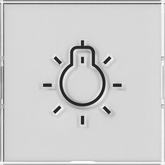 Gira 321600 Wippe Beschriftungsfeld + Symbol Licht groß tastbar System 55 Farbneutral