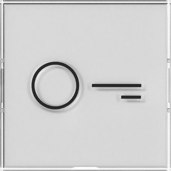 Gira 321800 Wippe Beschriftungsfeld + Symbol Tür groß tastbar System 55 Farbneutral