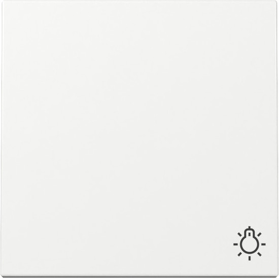 Gira 328503 Wippe Symbol Licht System 55 Reinweiß