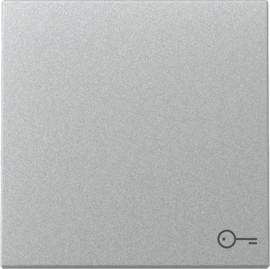 Gira 328726 Wippe Symbol Tür System 55 F Alu