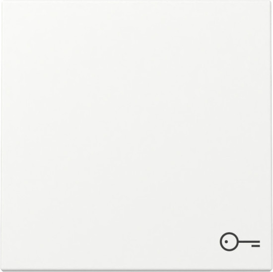 Gira 328727 Wippe Symbol Tür System 55 Reinweiß m