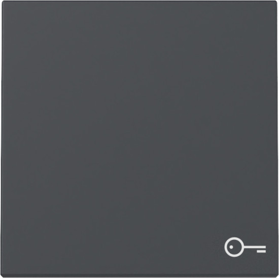 Gira 328728 Wippe Symbol Tür System 55 Anthrazit