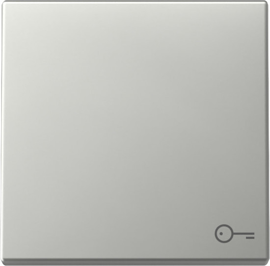 Gira 3287600 Wippe Symbol Tür System 55 Edelstahl