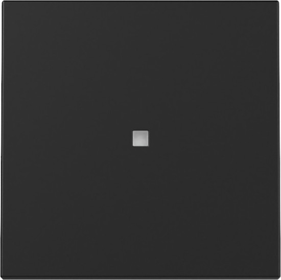 Gira 3290005 Wippe Kontrollfür System 55 Schwarz m