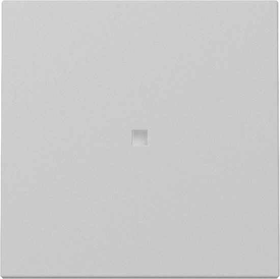 Gira 3290015 Wippe Kontrollfür System 55 Grau m