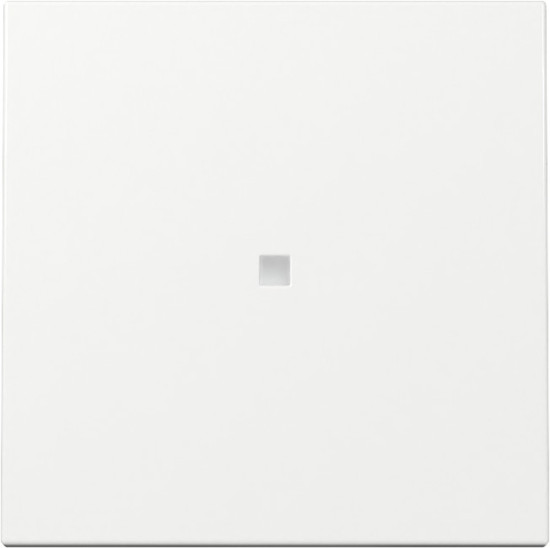 Gira 329003 Wippe Kontrollfür System 55 Reinweiß