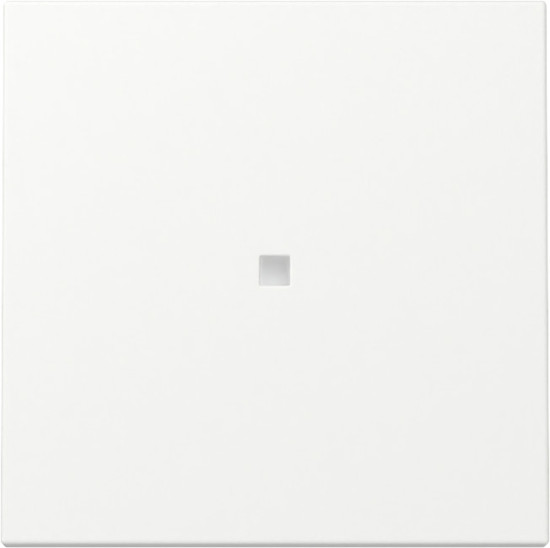 Gira 329027 Wippe Kontrollfür System 55 Reinweiß m