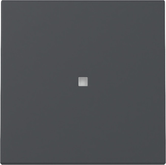 Gira 329028 Wippe Kontrollfür System 55 Anthrazit