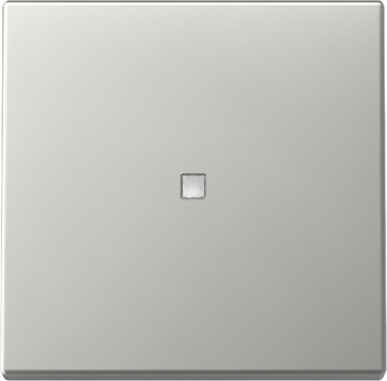 Gira 3290600 Wippe Kontrollfür System 55 Edelstahl