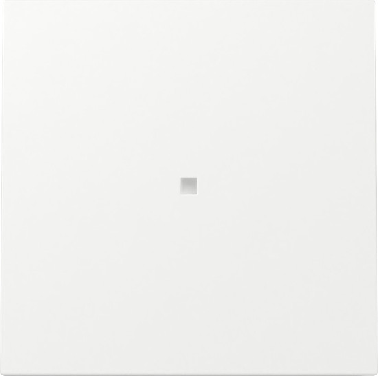 Gira 329070 Wippe Kontrollfür Flächenschalter Reinweiß