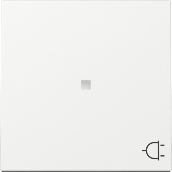 Gira 329103 Wippe Kontrollfür + Symbol Steckdose System 55 Reinweiß