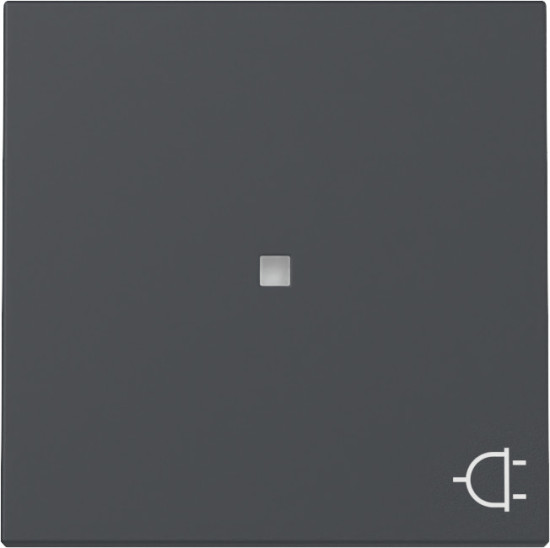 Gira 329128 Wippe Kontrollfür + Symbol Steckdose System 55 Anthrazit