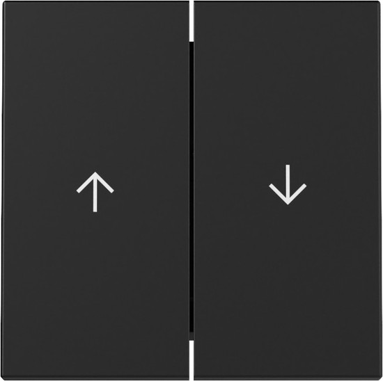 Gira 3294005 Wippe 2-fach Pfeil System 55 Schwarz m