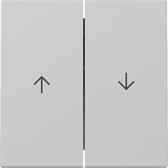 Gira 3294015 Wippe 2-fach Pfeil System 55 Grau m