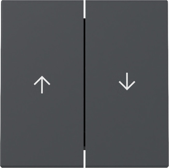 Gira 329428 Wippe 2-fach Pfeil System 55 Anthrazit