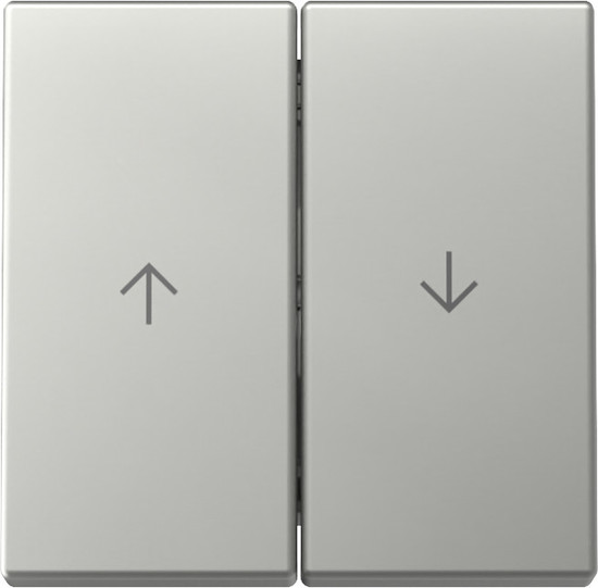 Gira 3294600 Wippe 2-fach Pfeil System 55 Edelstahl