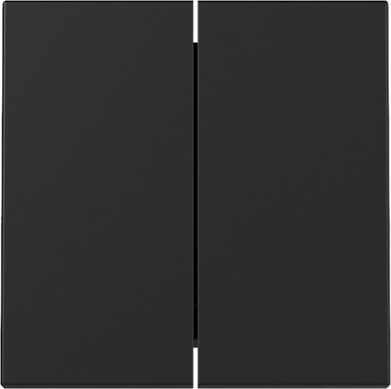 Gira 3295005 Wippe 2-fach System 55 Schwarz m