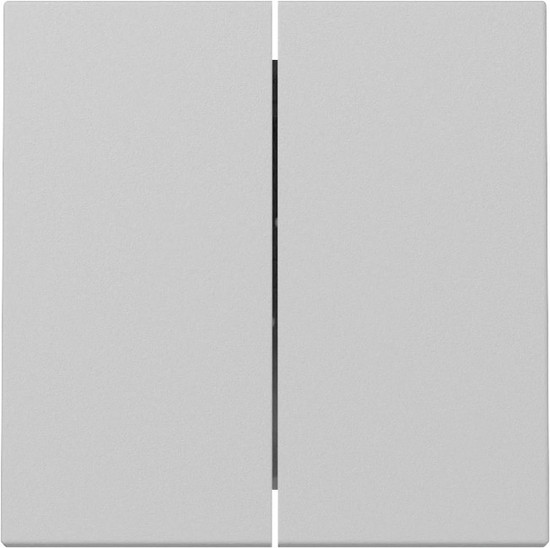 Gira 3295015 Wippe 2-fach System 55 Grau m