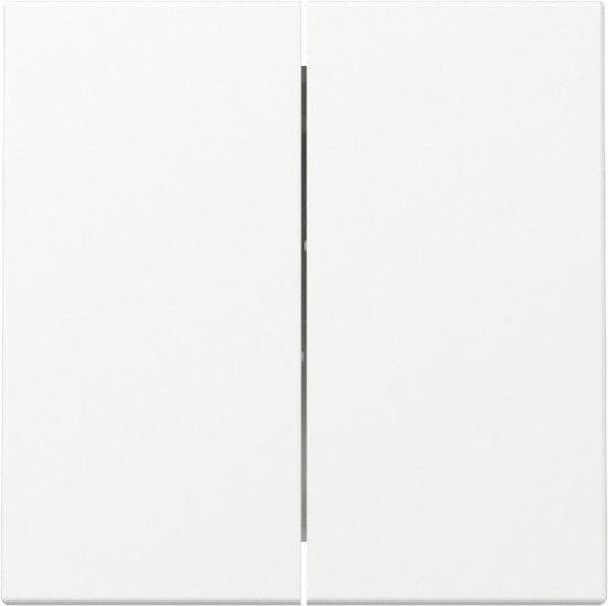 Gira 329527 Wippe 2-fach System 55 Reinweiß m