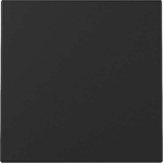 Gira 3296005 Wippe System 55 Schwarz m