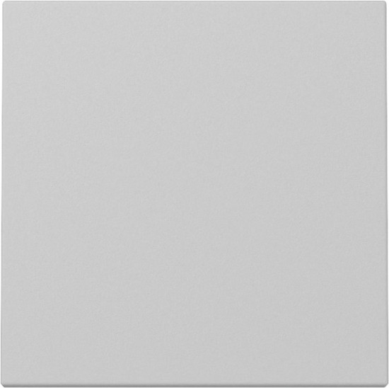 Gira 3296015 Wippe System 55 Grau m