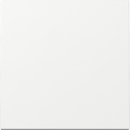 Gira 329603 Wippe System 55 Reinweiß