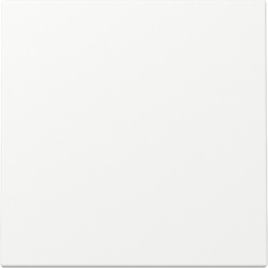 Gira 329627 Wippe System 55 Reinweiß m